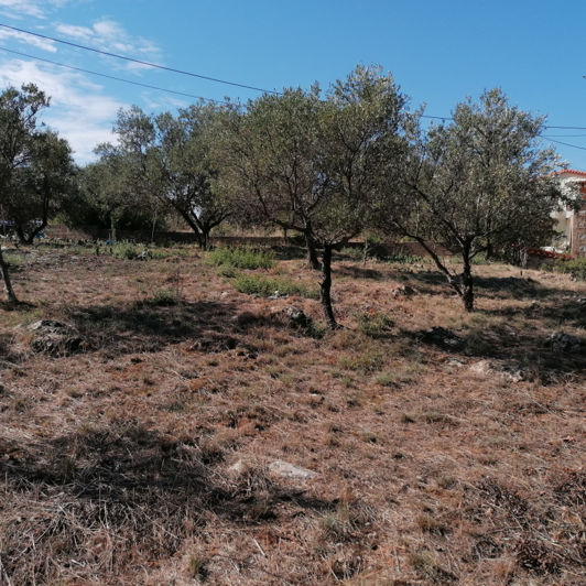 Image No.2-Plot for sale