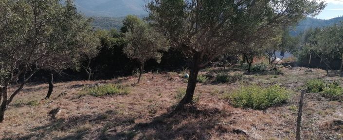 Image No.3-Plot for sale