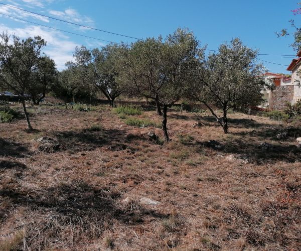 Image No.6-Plot for sale