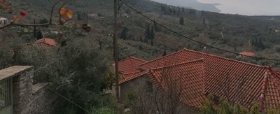 img202303101118302025-02-06-124218vobz