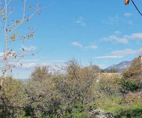 Image No.10-3 Bed House for sale