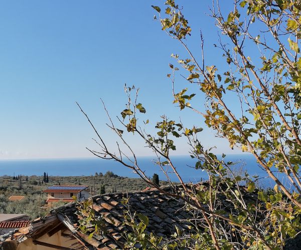 Image No.14-3 Bed House for sale