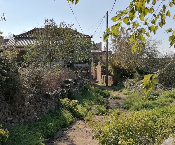 Image No.28-3 Bed House for sale