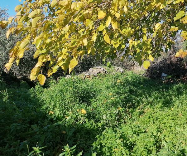 Image No.6-3 Bed House for sale