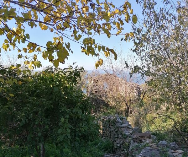 Image No.7-3 Bed House for sale