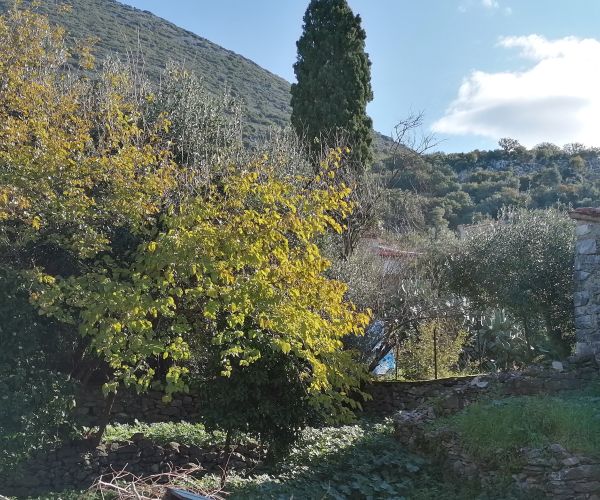 Image No.9-3 Bed House for sale