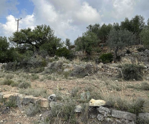 Image No.10-Plot for sale