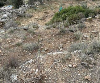 photo-17-10-23-10-46-21-am