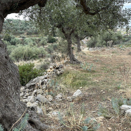 Image No.2-Plot for sale