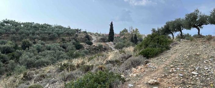 Image No.3-Plot for sale