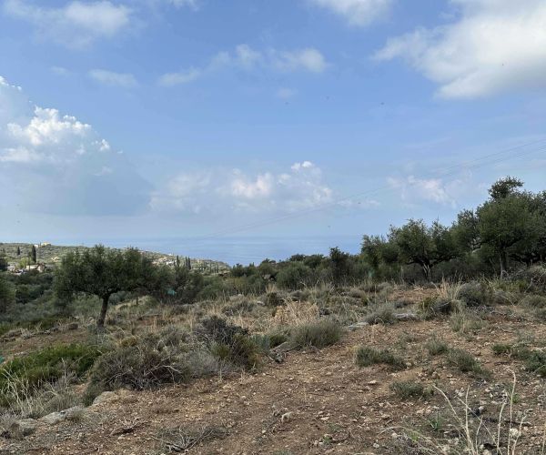 Image No.4-Plot for sale