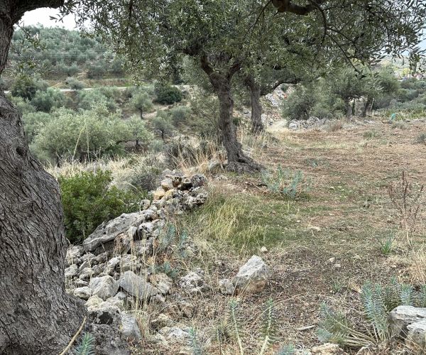 Image No.5-Plot for sale