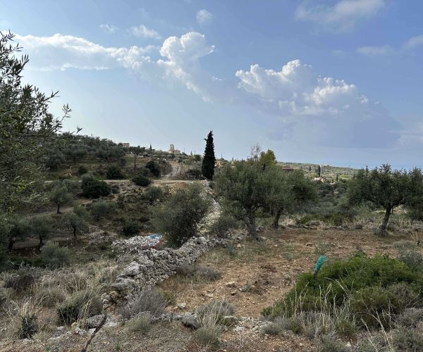 Image No.6-Plot for sale