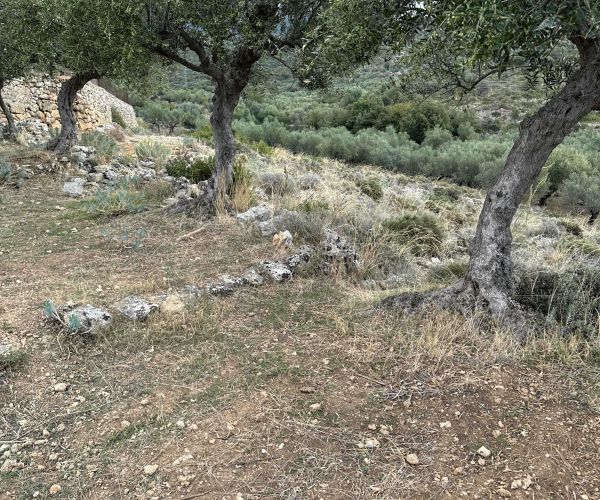 Image No.7-Plot for sale