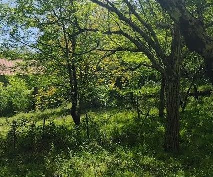 Image No.14-1 Bed House for sale