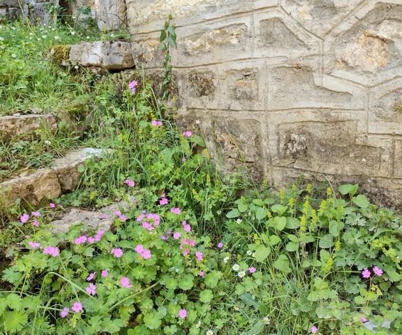 Image No.15-1 Bed House for sale