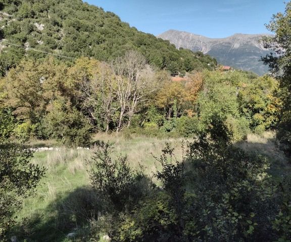 Image No.17-1 Bed House for sale