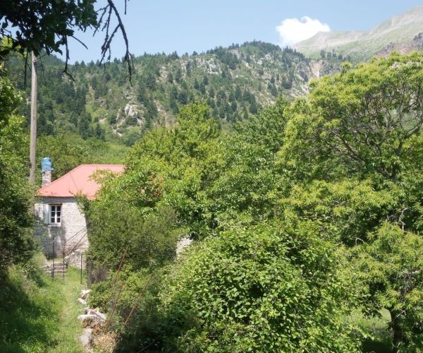 Image No.5-1 Bed House for sale