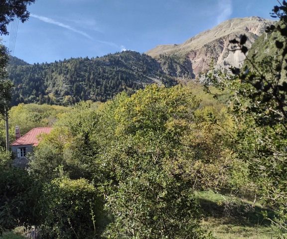 Image No.18-1 Bed House for sale