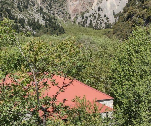 Image No.6-1 Bed House for sale