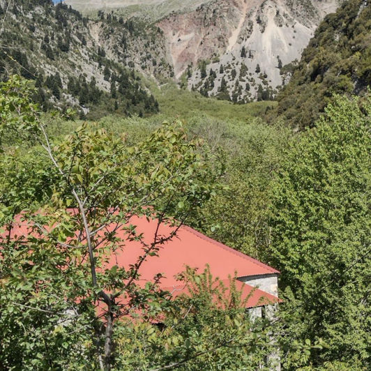 Image No.2-1 Bed House for sale