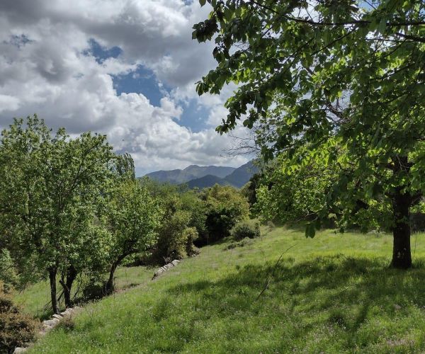 Image No.7-1 Bed House for sale