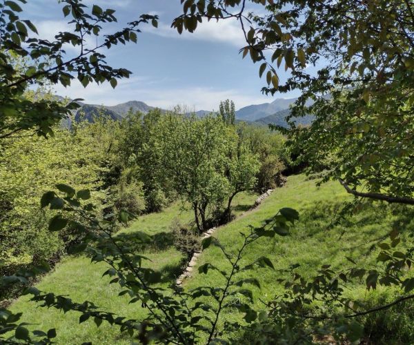 Image No.8-1 Bed House for sale