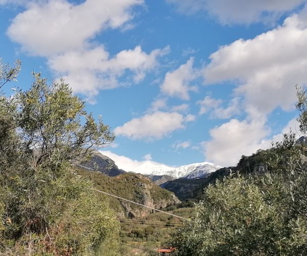 Image No.13-5 Bed House for sale