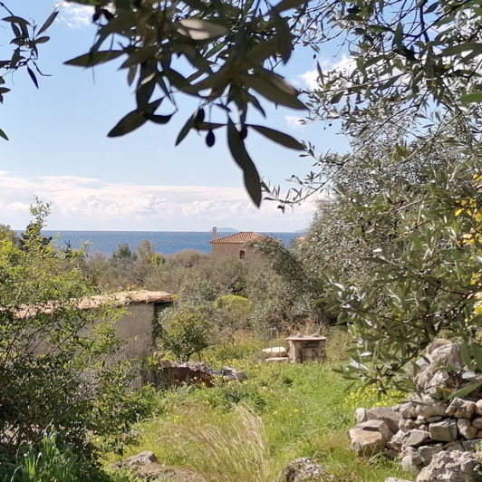 Image No.2-5 Bed House for sale