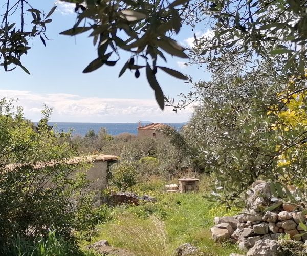 Image No.4-5 Bed House for sale