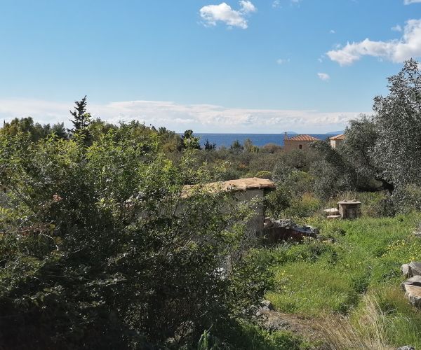 Image No.5-5 Bed House for sale