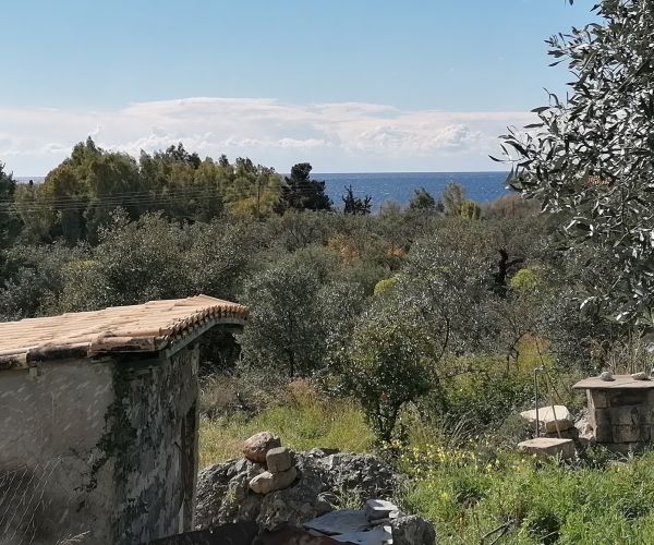 Image No.6-5 Bed House for sale