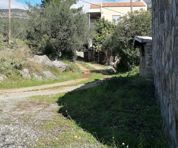 Image No.8-5 Bed House for sale