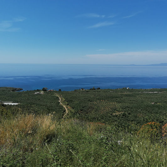 Image No.2-2 Bed House for sale