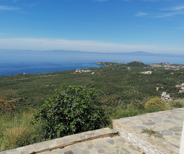 Image No.24-2 Bed House for sale