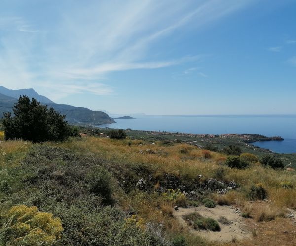 Image No.28-2 Bed House for sale