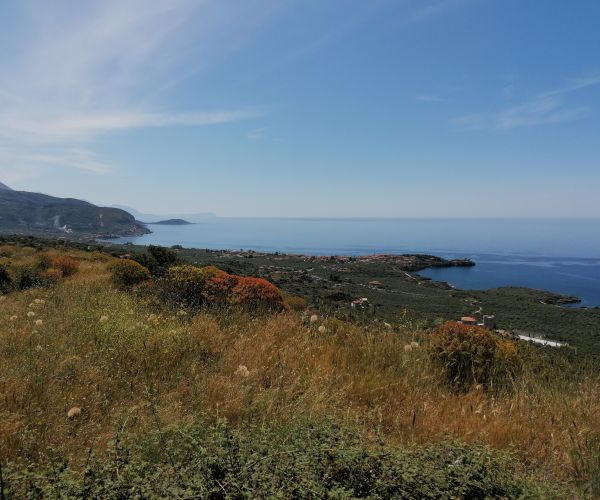 Image No.7-2 Bed House for sale