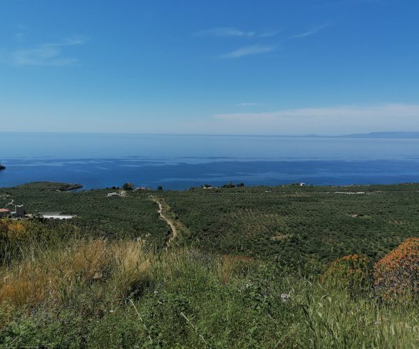 Image No.8-2 Bed House for sale