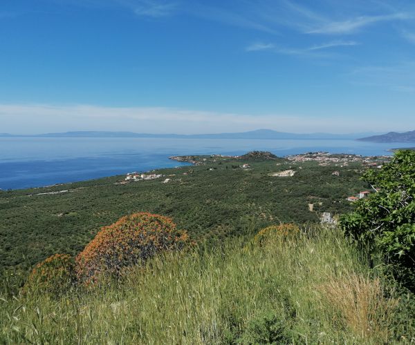 Image No.9-2 Bed House for sale