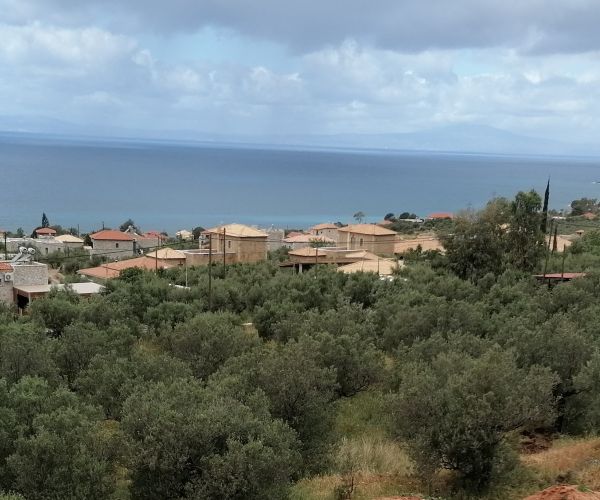 Image No.29-3 Bed House for sale