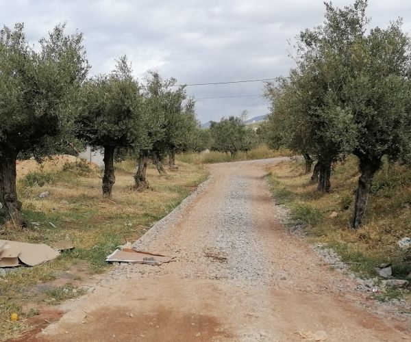 Image No.8-3 Bed House for sale