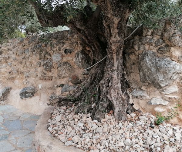 Image No.57-4 Bed House for sale