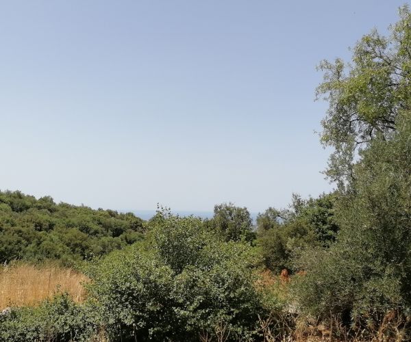 Image No.10-Plot for sale