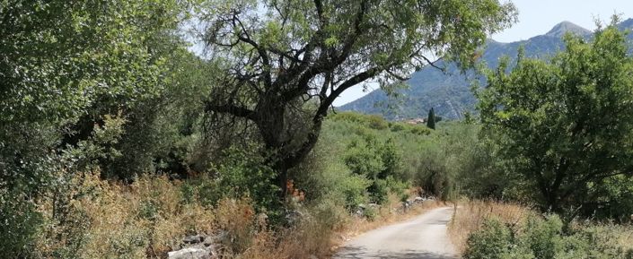 Image No.3-Plot for sale