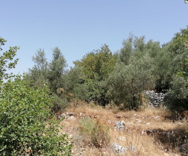 Image No.4-Plot for sale