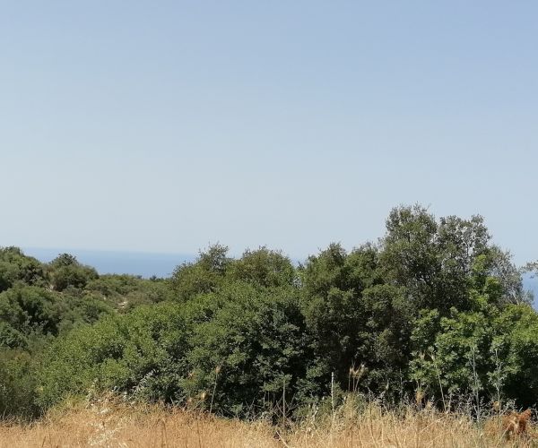 Image No.5-Plot for sale