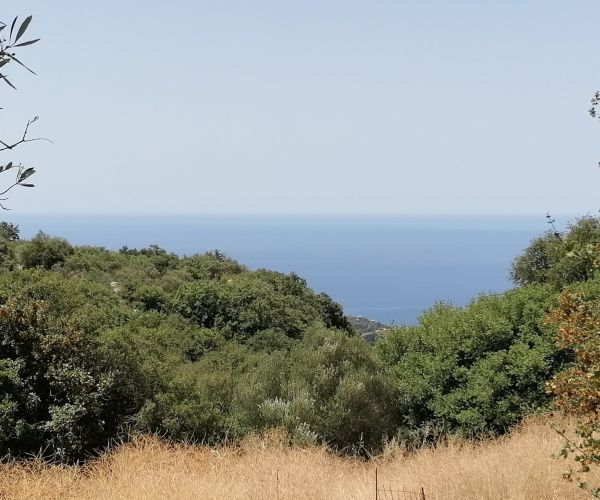 Image No.6-Plot for sale