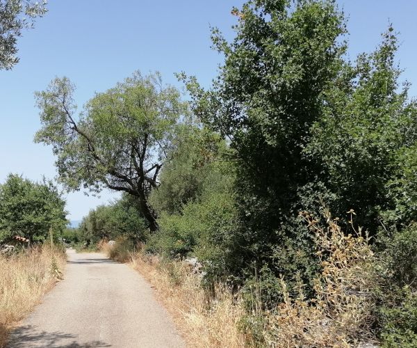 Image No.7-Plot for sale