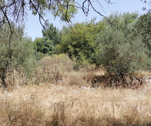 Image No.8-Plot for sale