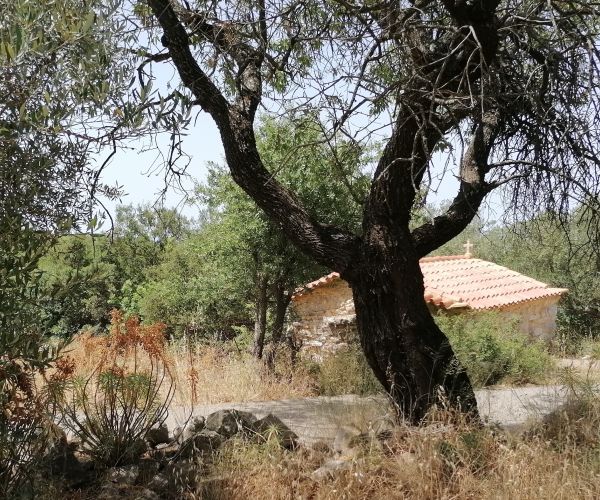 Image No.9-Plot for sale